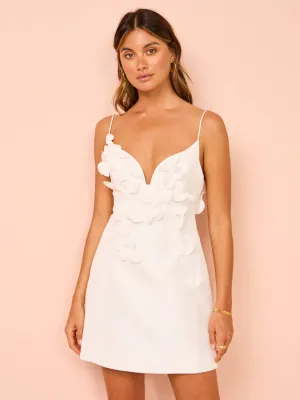 Acler Isla Mini Dress in Ivory